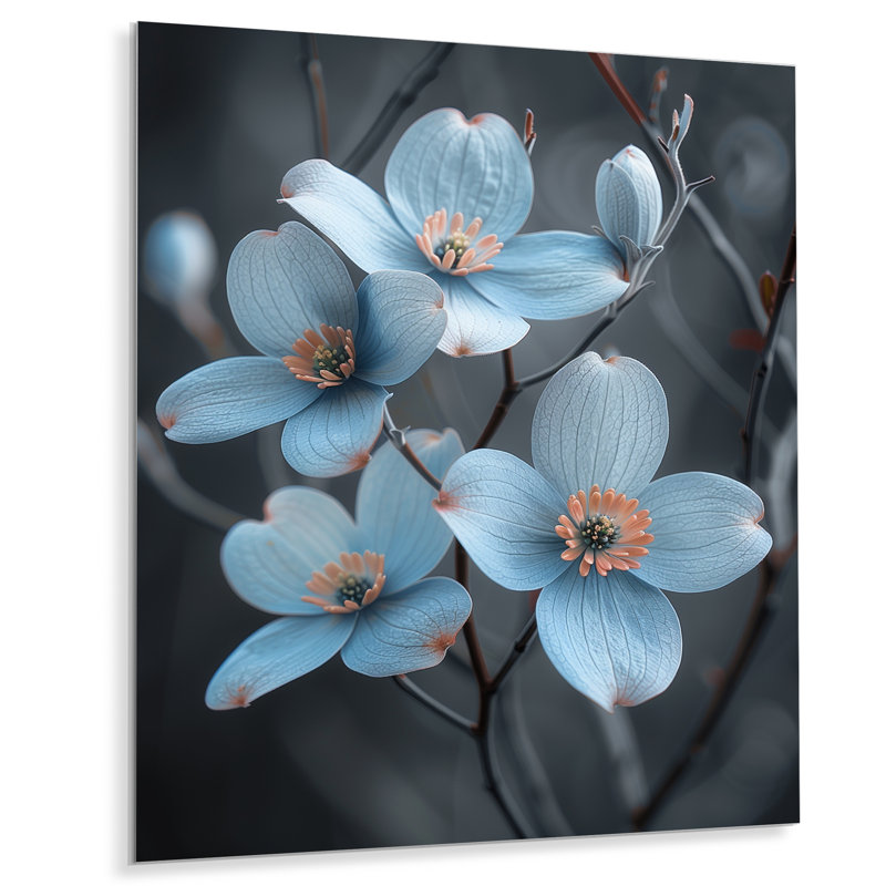 Fleur de cornouiller monochrome, paix et hivers bleus I - cornouiller, art mural, salon, Métal métal, H 20 po x l 12 po