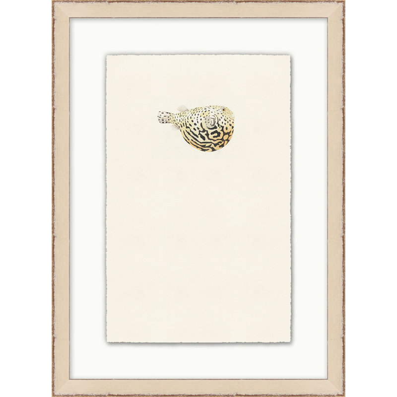 Petite Fish 4 Print