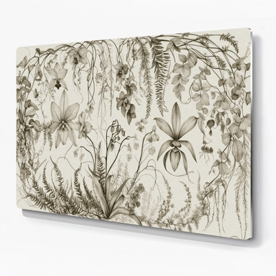 Botanical Line Art Botanical Drawings Beige Metal Wall Art