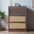 Retro large storage shoe cabinet
