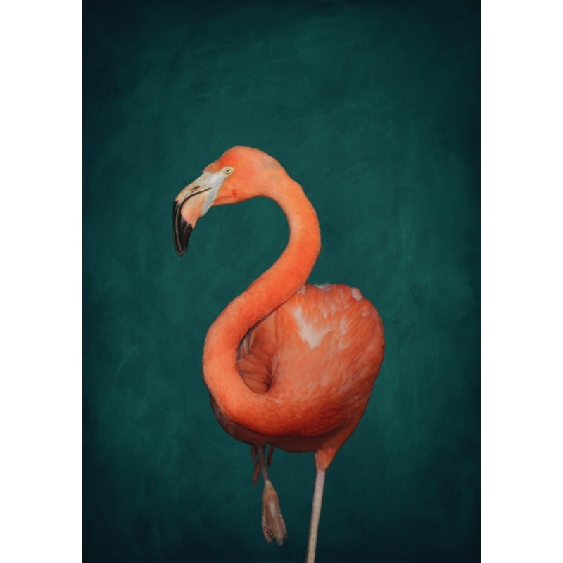 Wrapped Canvas Print, 76.2 cm H x 50.8 cm W