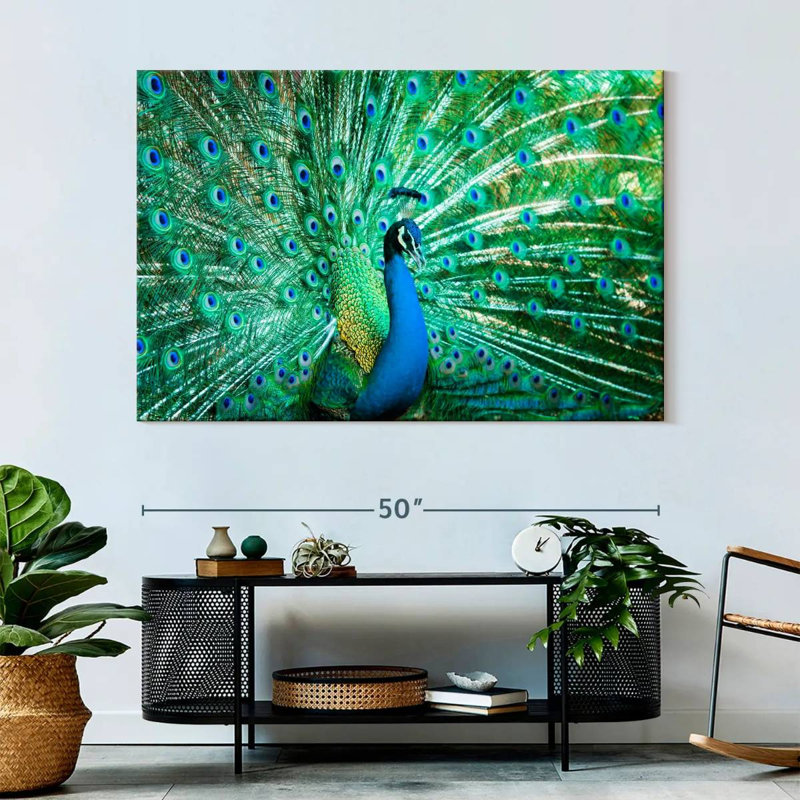 Crowle Peacock Portrait, 34" H x 51" W