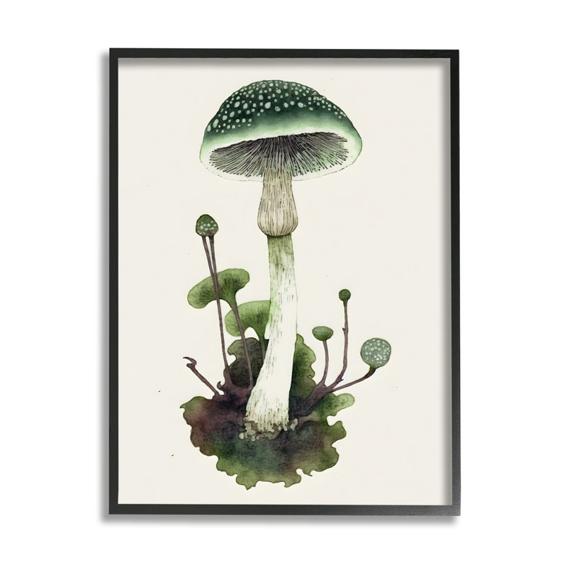 Bb-063 - Champignon vert forêt encadré sur bois, H 30 po x l 24 po x P 1,5 po, Giclée encadrée noir minuit