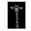 « giraffe portrait on black », reproduction de photo sur toile tendue-230181754