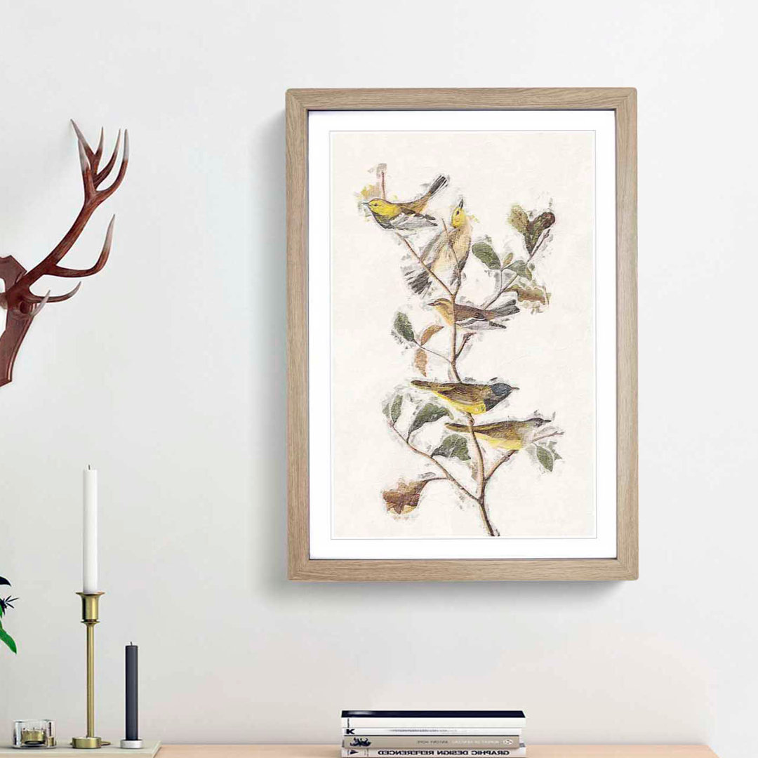 Black-Throated Green Warbler by John James Audubon - Picture Frame Painting Print