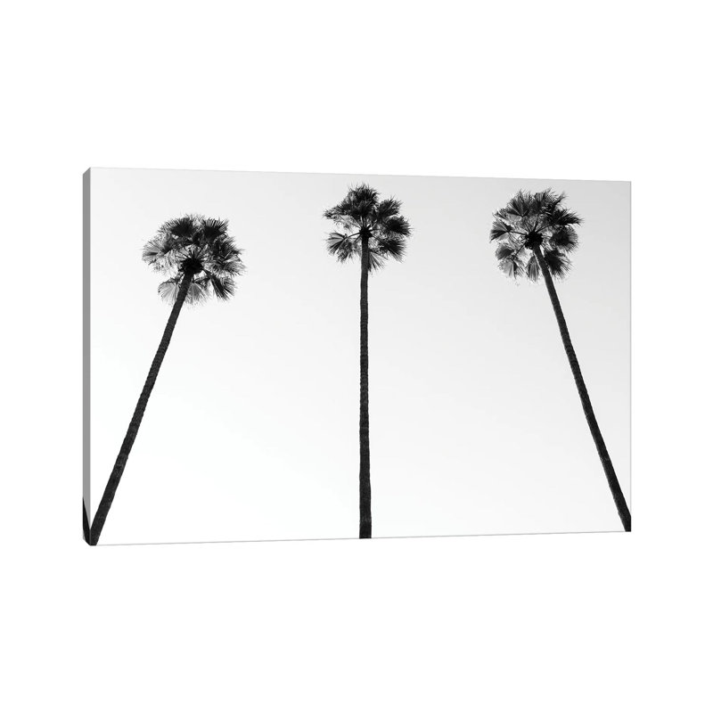 Palm Trees III 1 Piece Wrapped Canvas Wall Art, 101.6 cm H x 66.04 cm W x 1.91 cm D