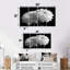 Monochromes blanc noir, «Mums Botanical Beauty I», ensemble d'art mural-1299870585