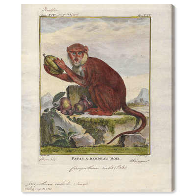 " Red Monkey " Painting Print