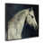 Giclée encadrée noir minuit sélectionné