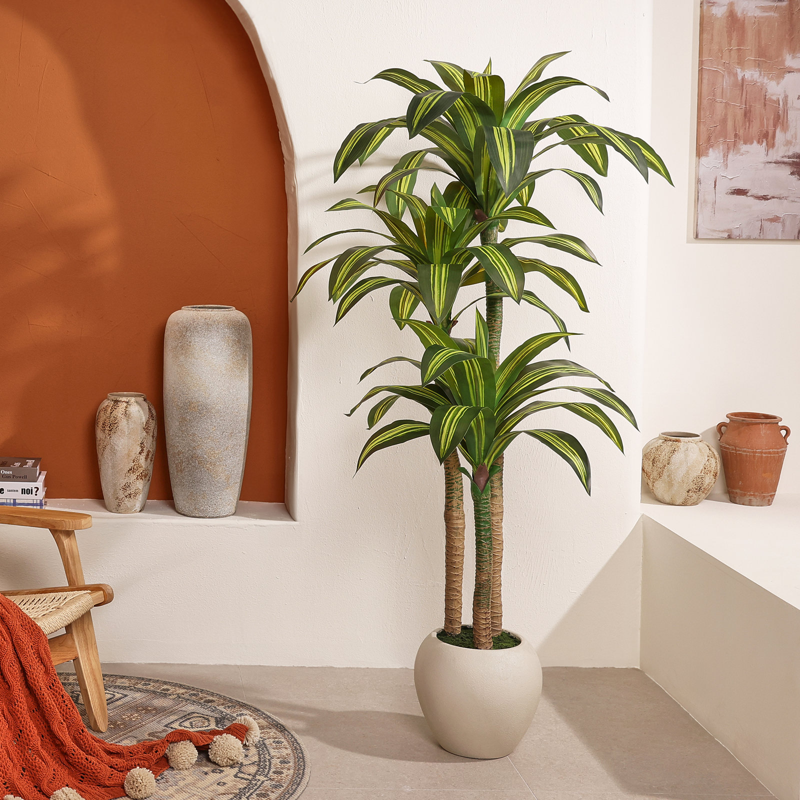 Romney Dracaena Tree in Planter, 72" H x 26" W
