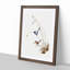 White-Winged Wren by Elizabeth Gould - Framed Print-55611921-55611923