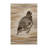 Washable Speckled Mousebird Birds Area Rug-1303202783