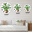 Horloge murale traditionnelle Zamioculcas-60329317