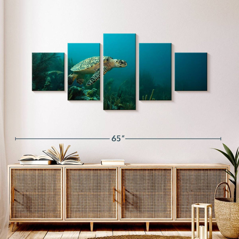 Caribbean Hawksbill Sea Turtle, 24" H x 55" W