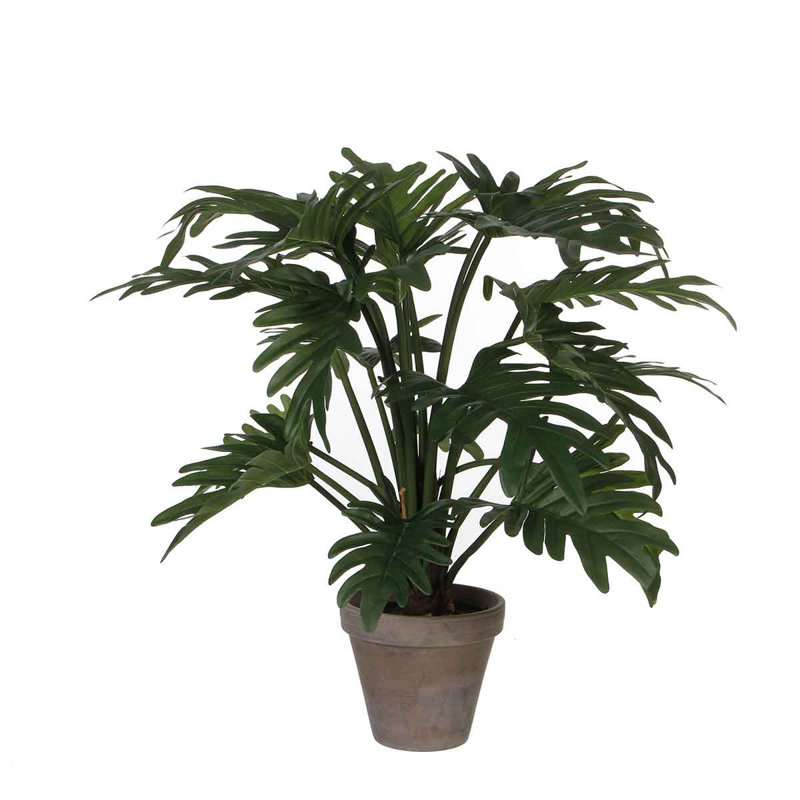 50cm Faux Philodendron Plant in Terracotta Pot