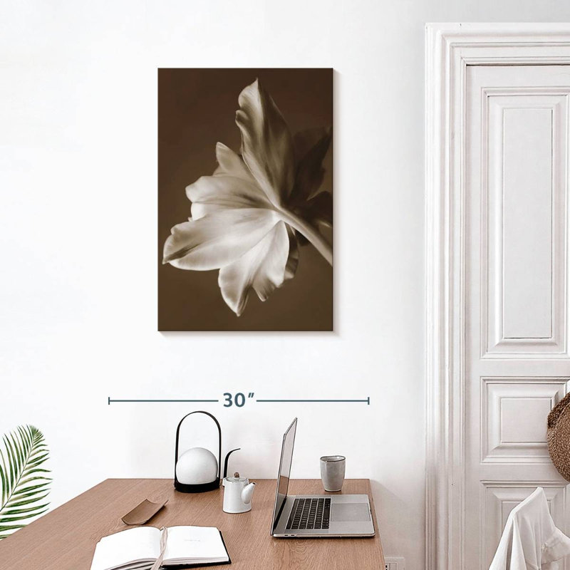 Harnek Moonglow Tulip, 30" H x 20" W