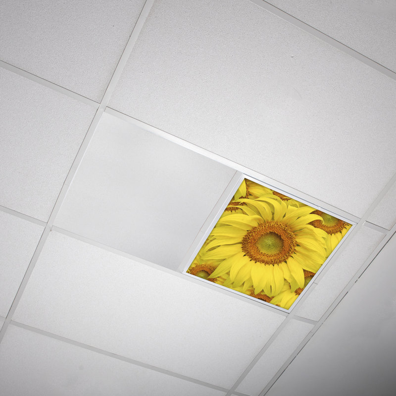 Flower Square Fixture Component Ceiling Light