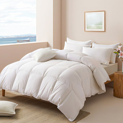 Édredon en duvet 100% coton toutes saisons