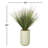 4.5' Onion Grass in Rainey Planter