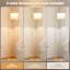 Lampes sur pied 60 "avec 3 températures de couleur pour le salon-777305619-777305647