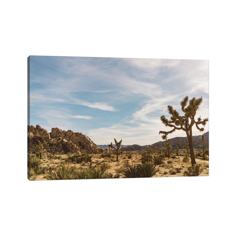 Joshua Tree National Park XXVI by Bethany Young - Wrapped Canvas Print, 30.48cm H x 45.72cm W x 1.91cm D