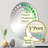 Oval Mirror-96241191