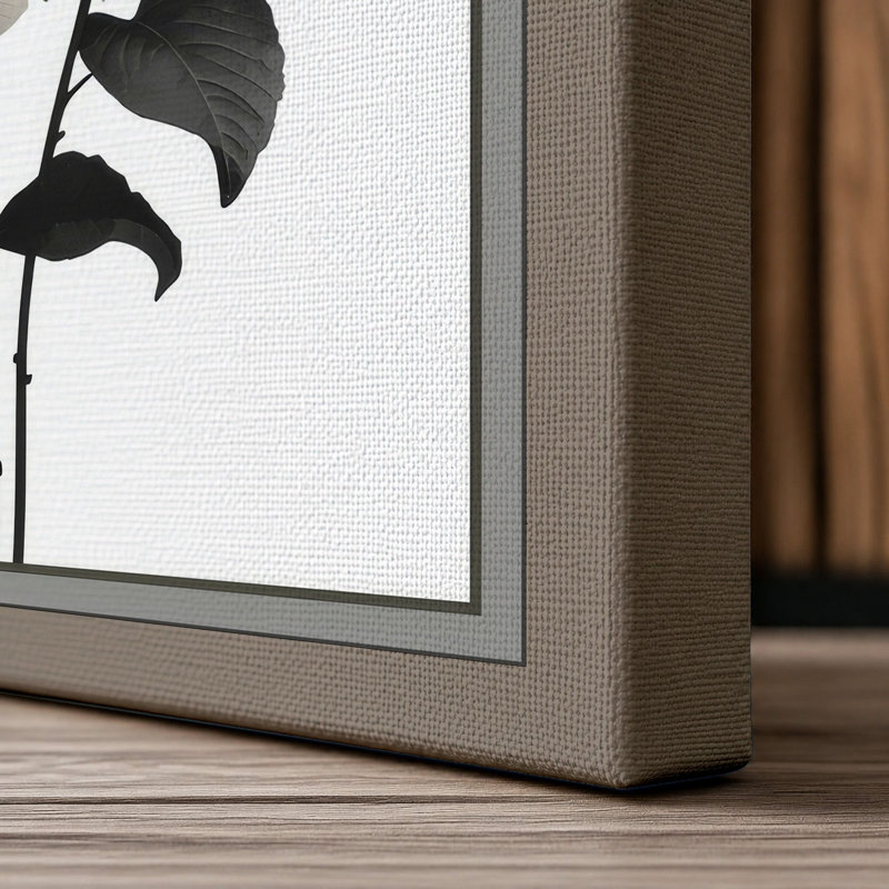 Hydrangea Study Botanical - Wrapped Canvas, 24x16 - 61.0 x 40.6 cm, Taupe Border