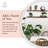 2 Piece Solid Wood Floating Shelf-998048056
