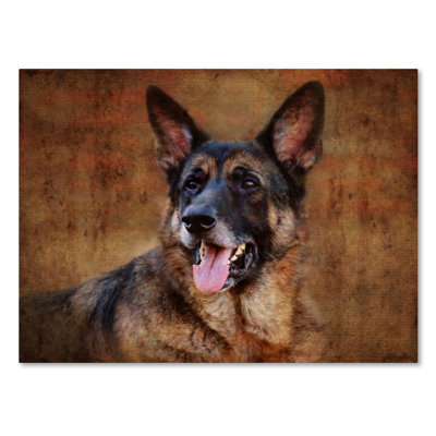 'German Shepherd' Graphic Art Print on Wrapped Canvas