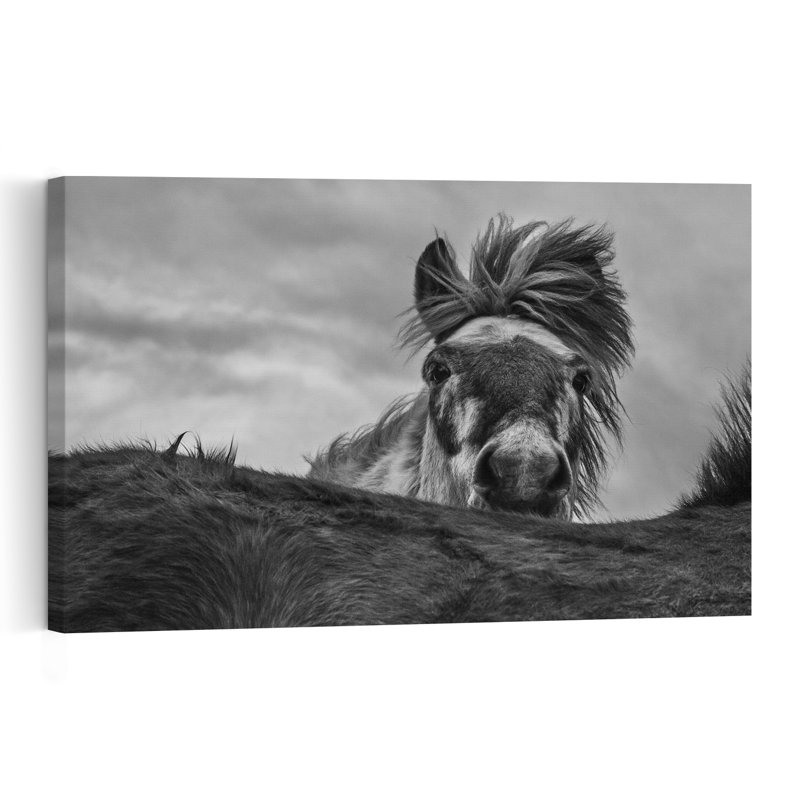 Curious Horse Wild Mane Dramatic Abstract Contemporary Horse Nature Portrait Wall Art Print by Bragi Ingibergsson - - Wrapped Canvas Print