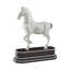 Spencer London Dressage-279079703