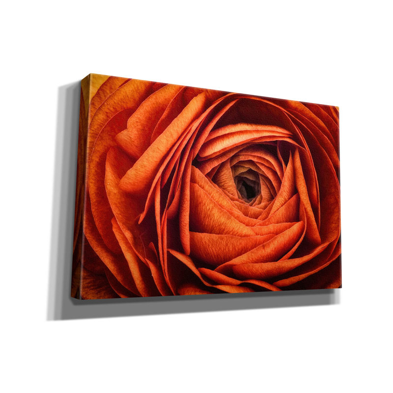 "Epic Graffiti" Ranonkel Oranje "par Rick Berk, art mural sur toile, 26 po x 18 po, H 18 po x l 26 po x P 0,75 po