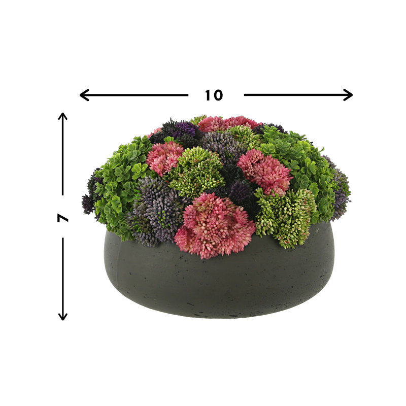 Sedum Arrangement in Fiberstone Planter, Dark Gray