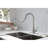Red Cloud Pull Down Kitchen Faucet