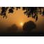 Lever de soleil brumeux-1675499049-1648542702-1648542692