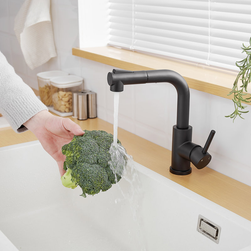 Robinet de cuisine rétractable, Noir mat