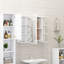 Aslam Bathroom Storage Furniture Set