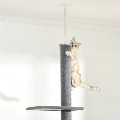 Tour pour chat PawHut