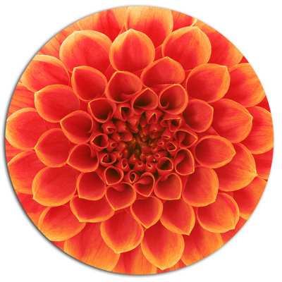 " Abstract Orange Flower Design "
