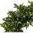 Faux Boxwood 18'' Wreath