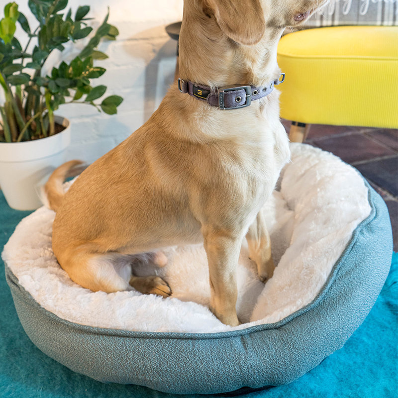 Anabelle Polyester Pet Bed, 25cm H x 70cm W x 70cm D
