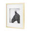 Décoration murale cheval 22 x 22 pouces, de 2, or et blanc, décorations modernes