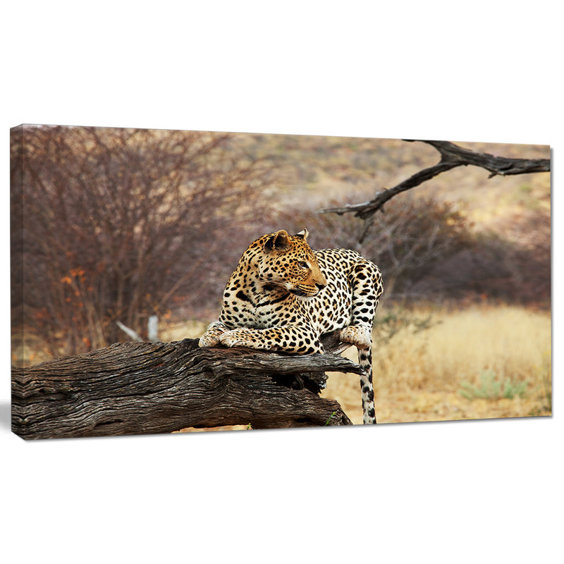 « leopard assis on tree trunk », reproduction de photo sur toile tendue, H 16 po x l 32 po x P 1 po