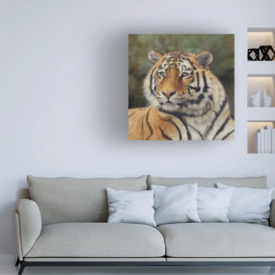 David Stribbling Bengal Tiger Canvas Art