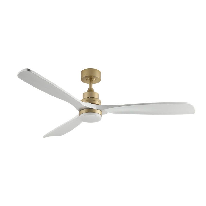 Ventilateur de plafond standard à DEL à 3 pales de 60 po avec télécommande et ensemble d'éclairage pour salon