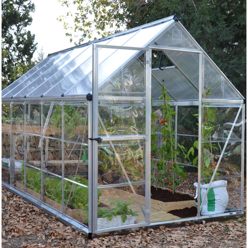 Hybrid 6 Ft W x 12 Ft D Hobby Greenhouse, Silver