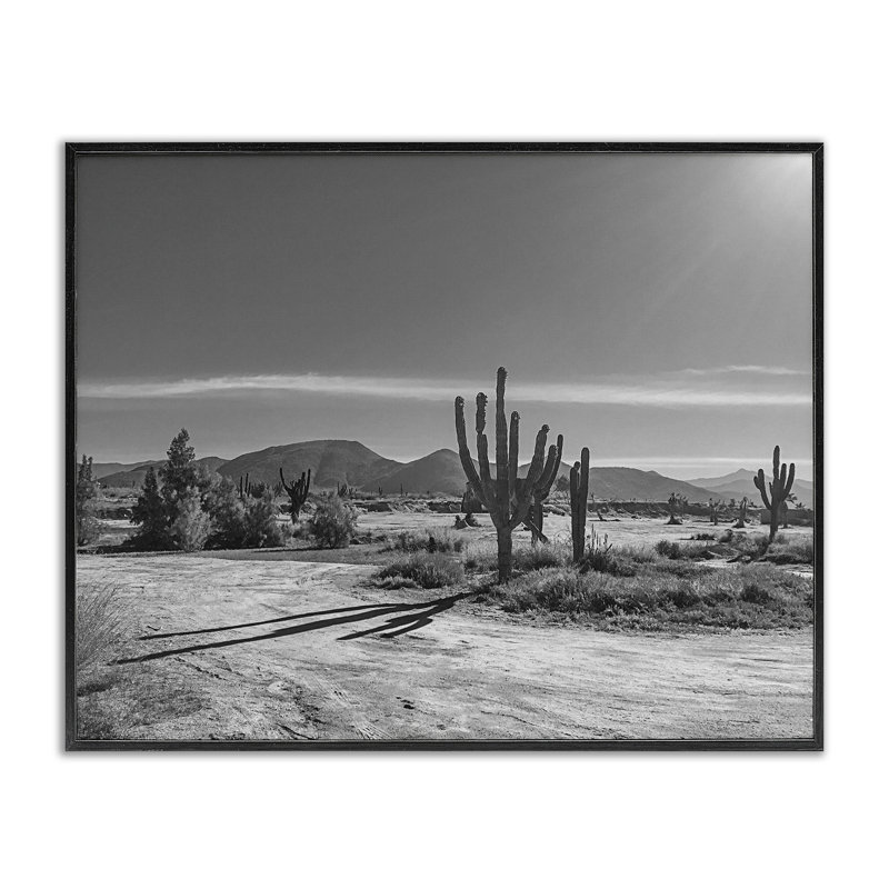 Giclée encadrée par Sun Cactus Valley, design par Norm Stelfox, H 11 po x l 14 po, Giclée encadrée noir minuit