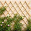183cm H Wood Expanding Trellis-39290499