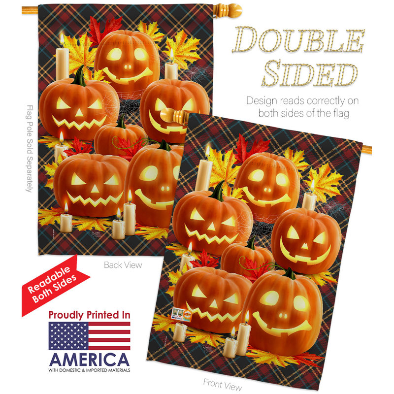 Drapeau de maison en polyester 40 po x 28 po Pumpkin Patch