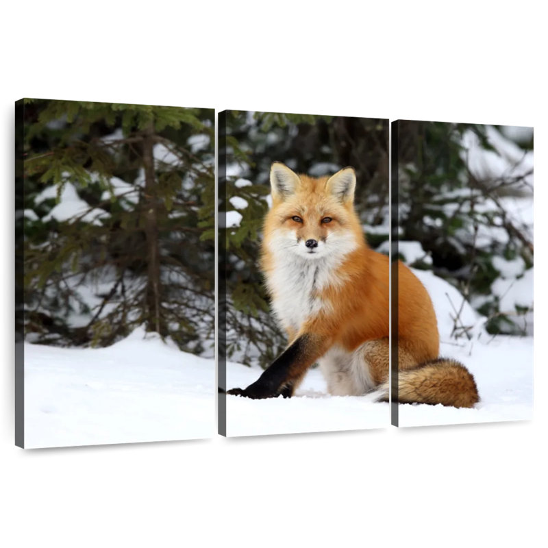 Brampt Winter Red Fox, 20" H x 33" W